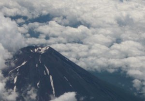 穏やかにゆったりと頼もしい