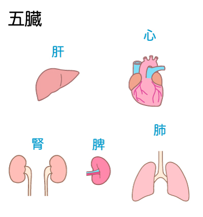 五臓の好きなもの