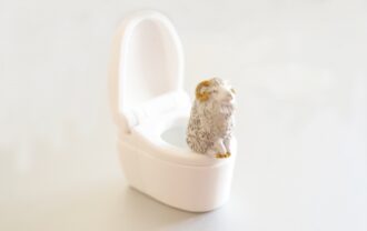 夢で大量のうんち!? でもスッキリ感が教えてくれた豊かさの秘密