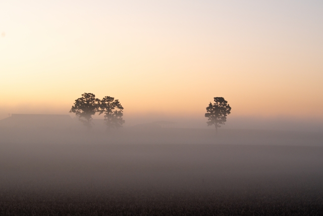 与えるだけでは足りない理由~心に余白をつくることで豊かさの循環がはじまる