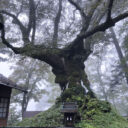 熊野神社と熊野皇大神社