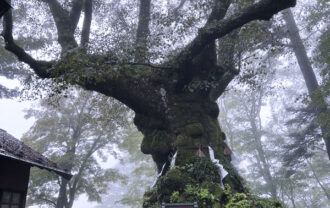 熊野神社と熊野皇大神社