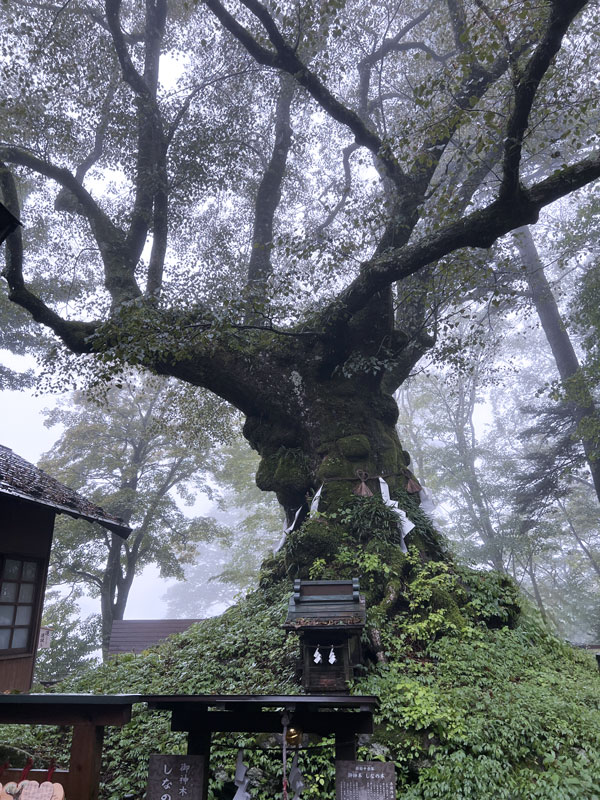 熊野神社と熊野皇大神社