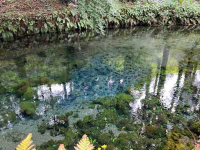 白川水源