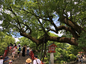 太宰府天満宮