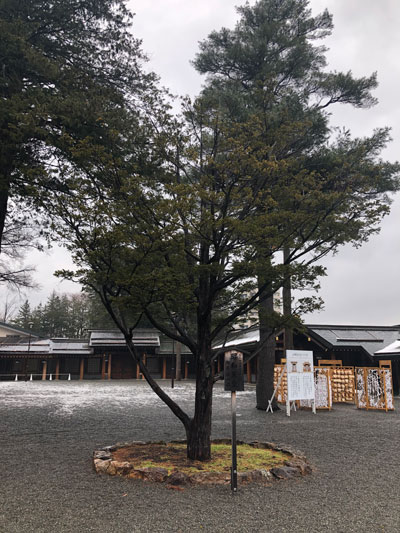 北海道神宮2019