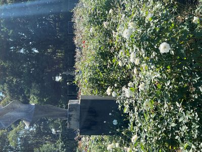 神代植物公園