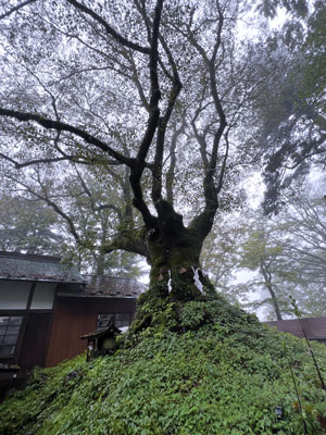 熊野皇大神社と熊野神社
