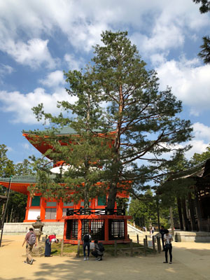 霊場高野山・三鈷の松