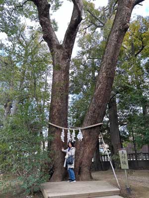 武蔵一宮氷川神社