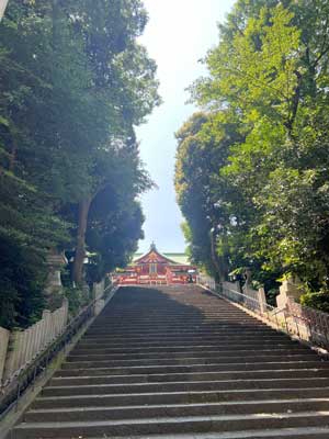 夏越の大祓