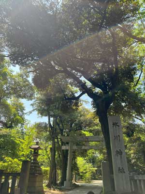 夏越の大祓