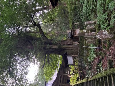 山形県庄内地方