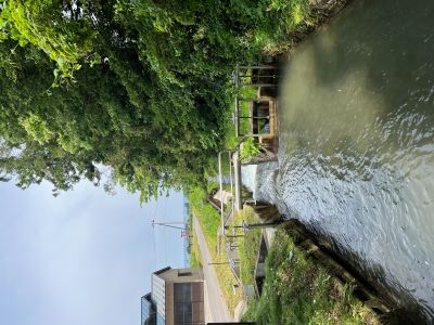 山形県庄内地方