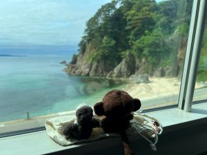 山形県庄内地方